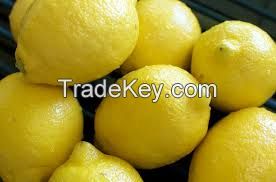 Fresh Eureka Lemons,Yellow lemons,Fresh green Eureka lemon