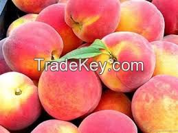 Fresh Class 1 Peach, Fresh Peach from South Africa