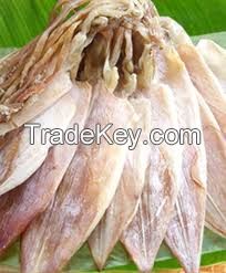 DRIED CUTTLEFISH