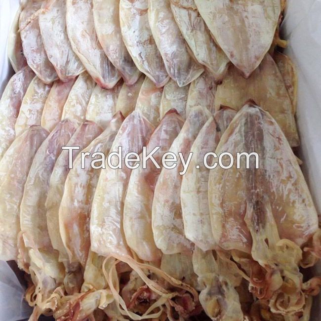 DRIED CUTTLEFISH