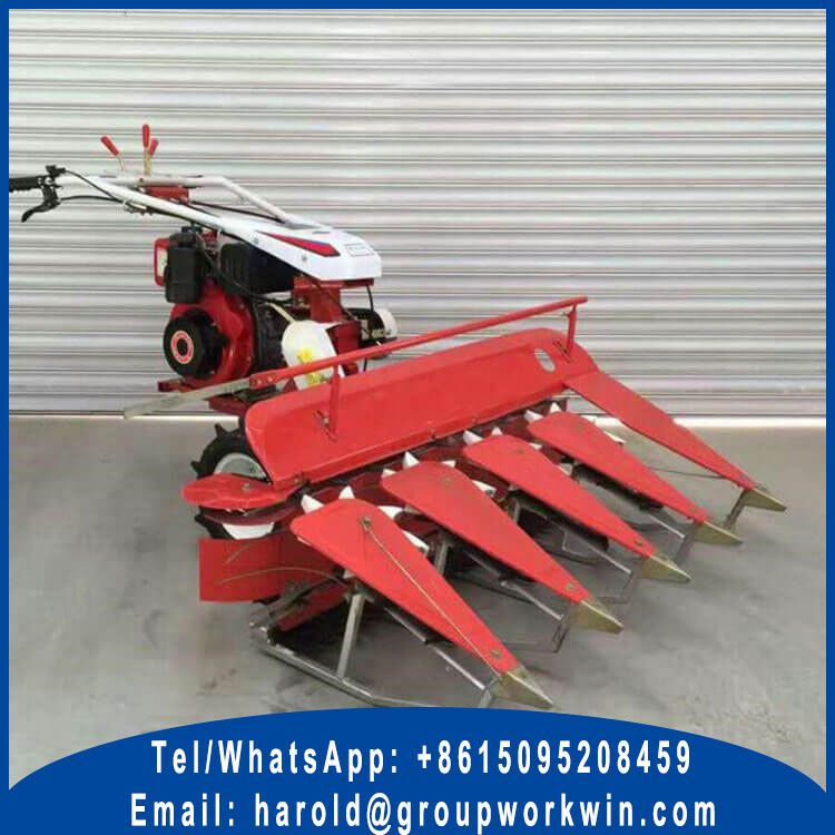 Self Propelled Windrower for Sale