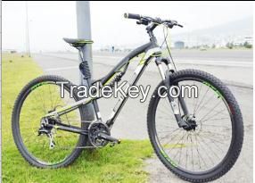 Adult folding variable speed dual shock absorption mountain bike