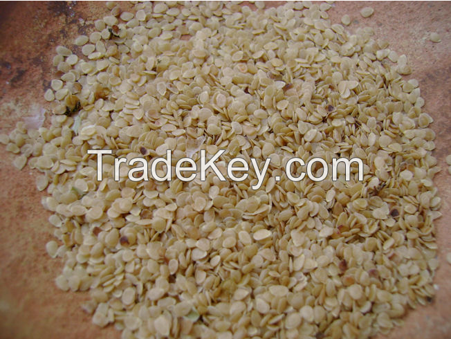 Good quality potato seeds