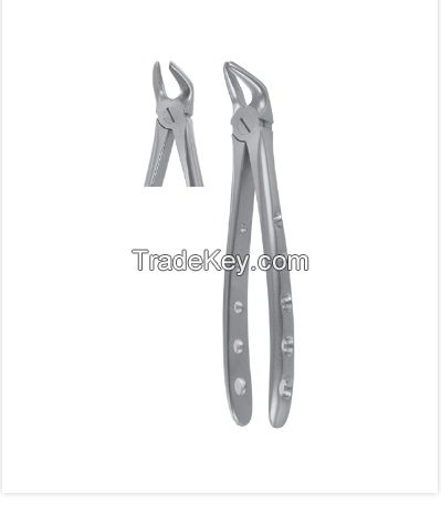 Best Extraction Forceps Dental, Dental Instruments