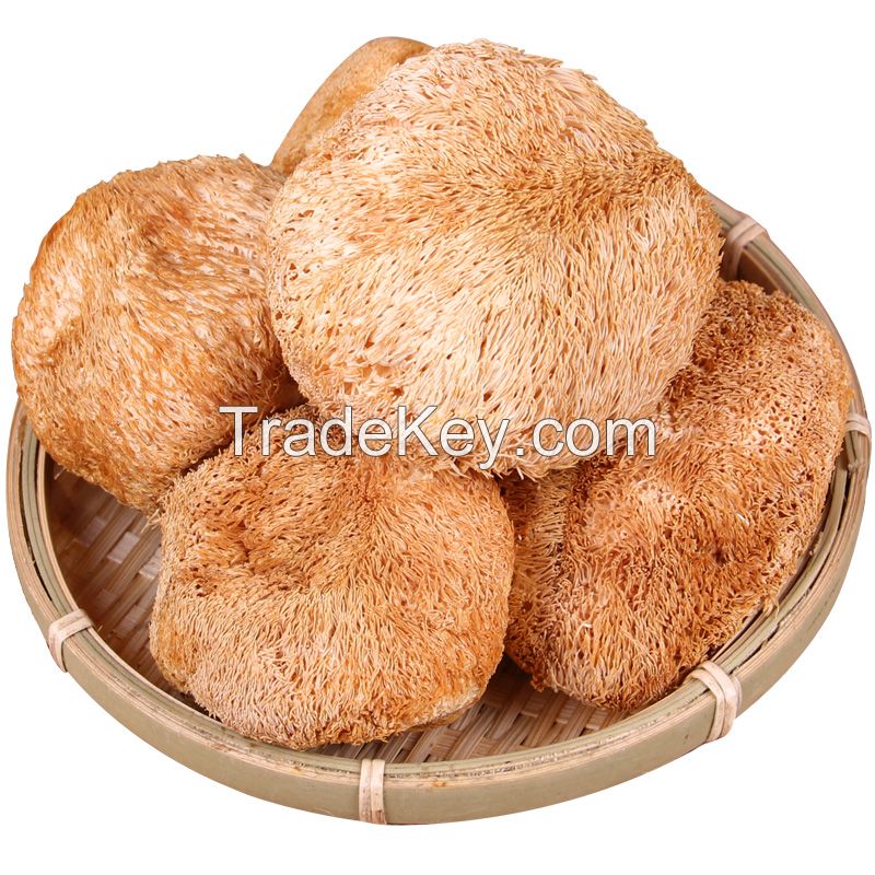 High Grade Dried 100% Natural lion's mane mushroom 