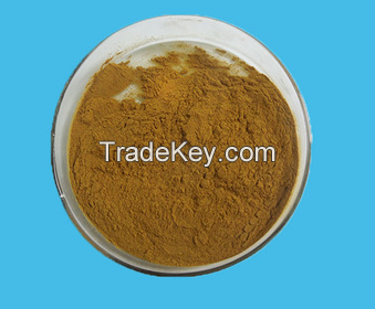 Peppermint extract