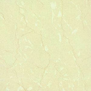 Soluble Salt Tiles Polished Porcelain Tiles 