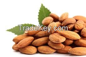 Almond Nuts Best Quality Grade AA