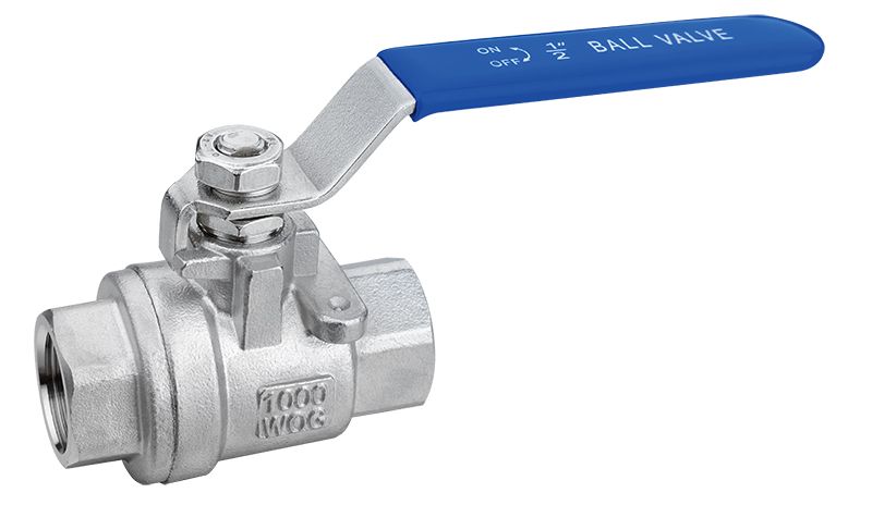 Manufacturer 2PC Female Threaded Ball Valve CF8 1000 Wog