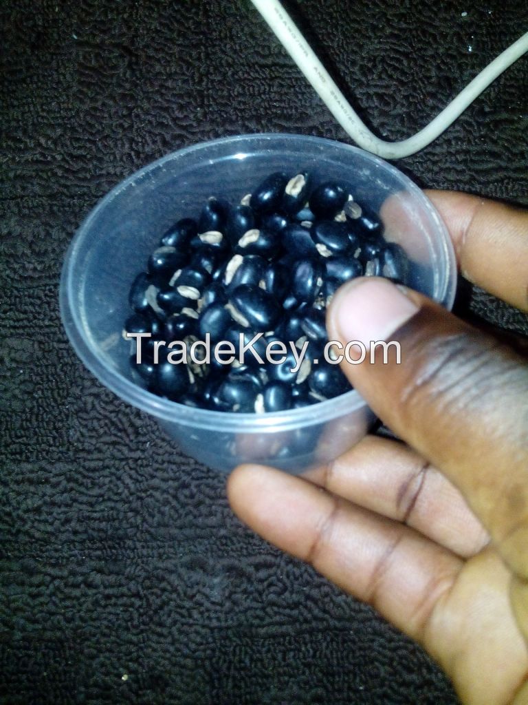 Mucuna Pruriens Seeds/Powder (Velvet Beans) 