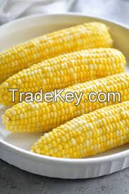 Corn 