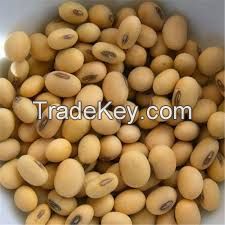 Soybeans 