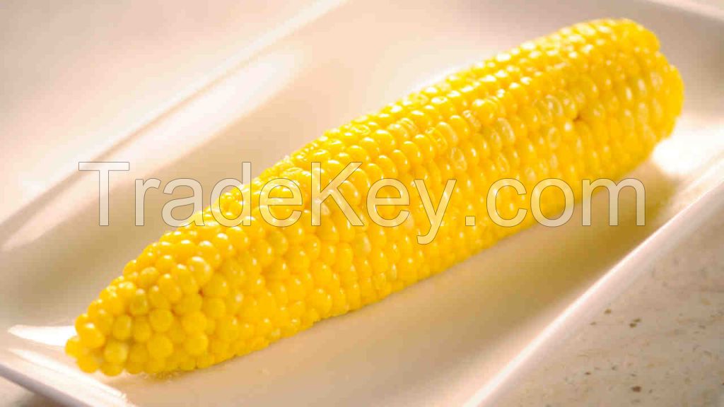 Corn 