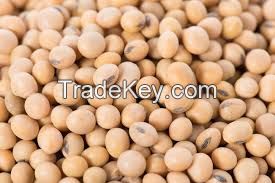 Soybeans 