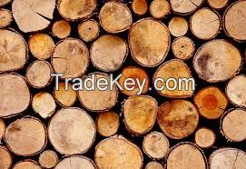 Lumber