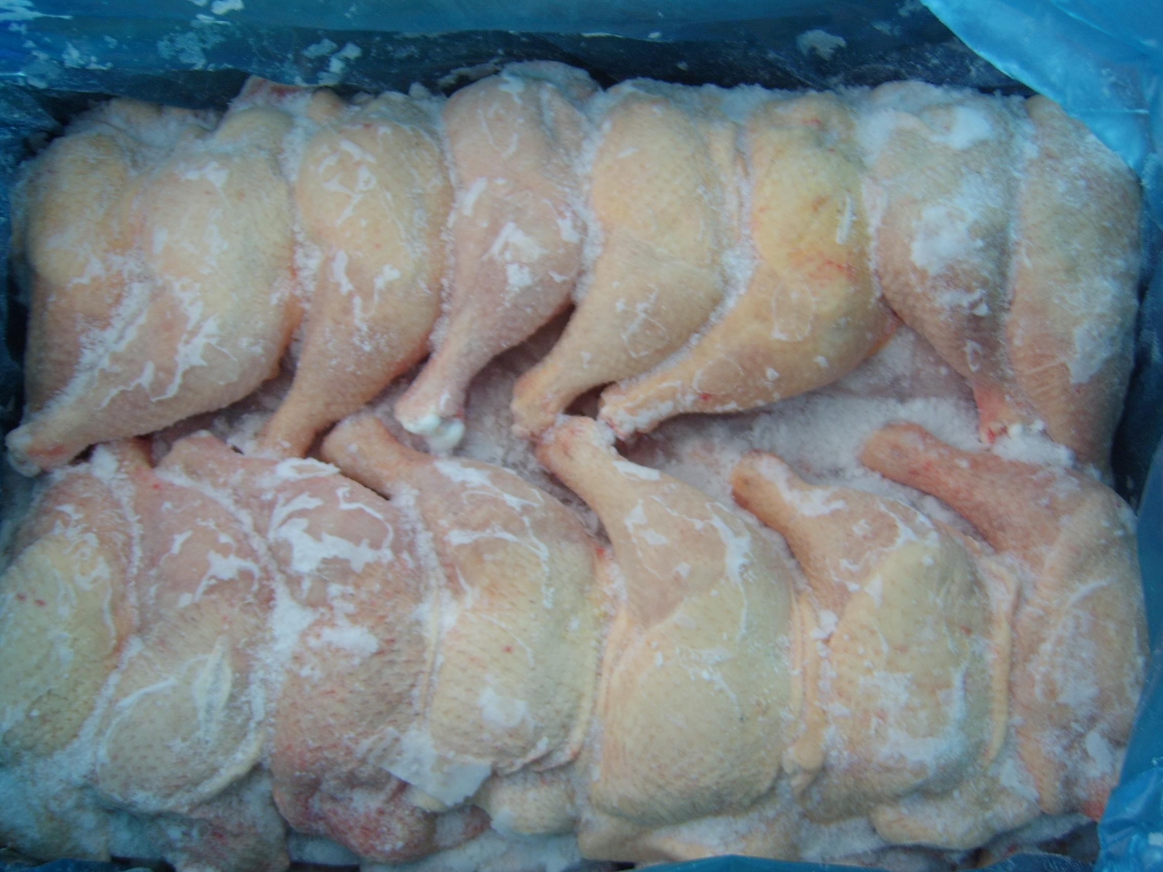 frozen chicken meat
