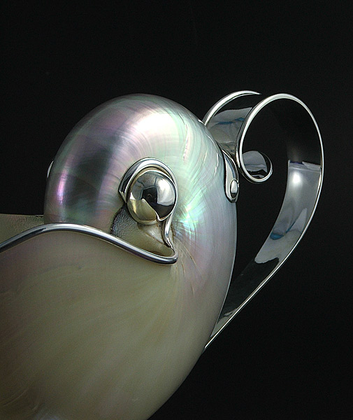 nautilus  with sterling silver 925 gravy sauce