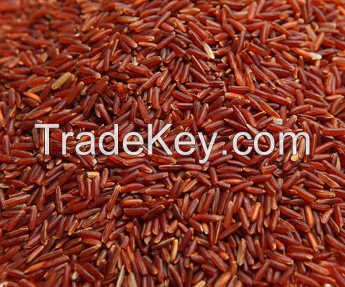 WILD RICE