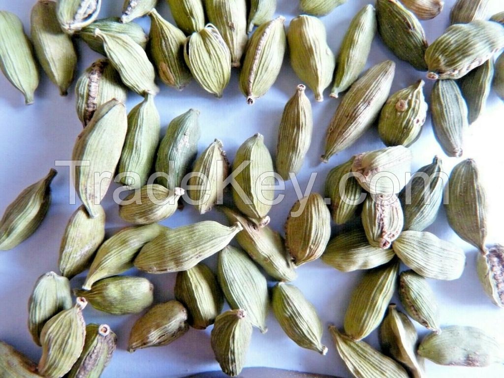 Cardamom Green Seed 25 G Rice Desserts Mulled Wine Tea Drinks Warm Cake