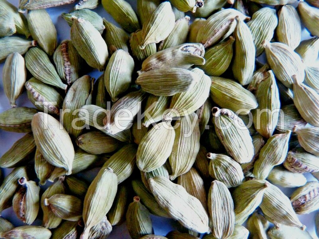 Cardamom Green Seed 25 G Rice Desserts Mulled Wine Tea Drinks Warm Cake