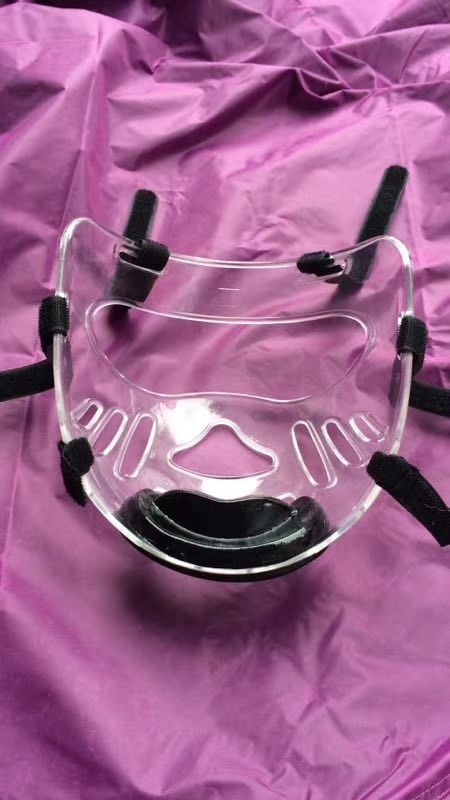 Taekwondo removable head protector face shield for sale