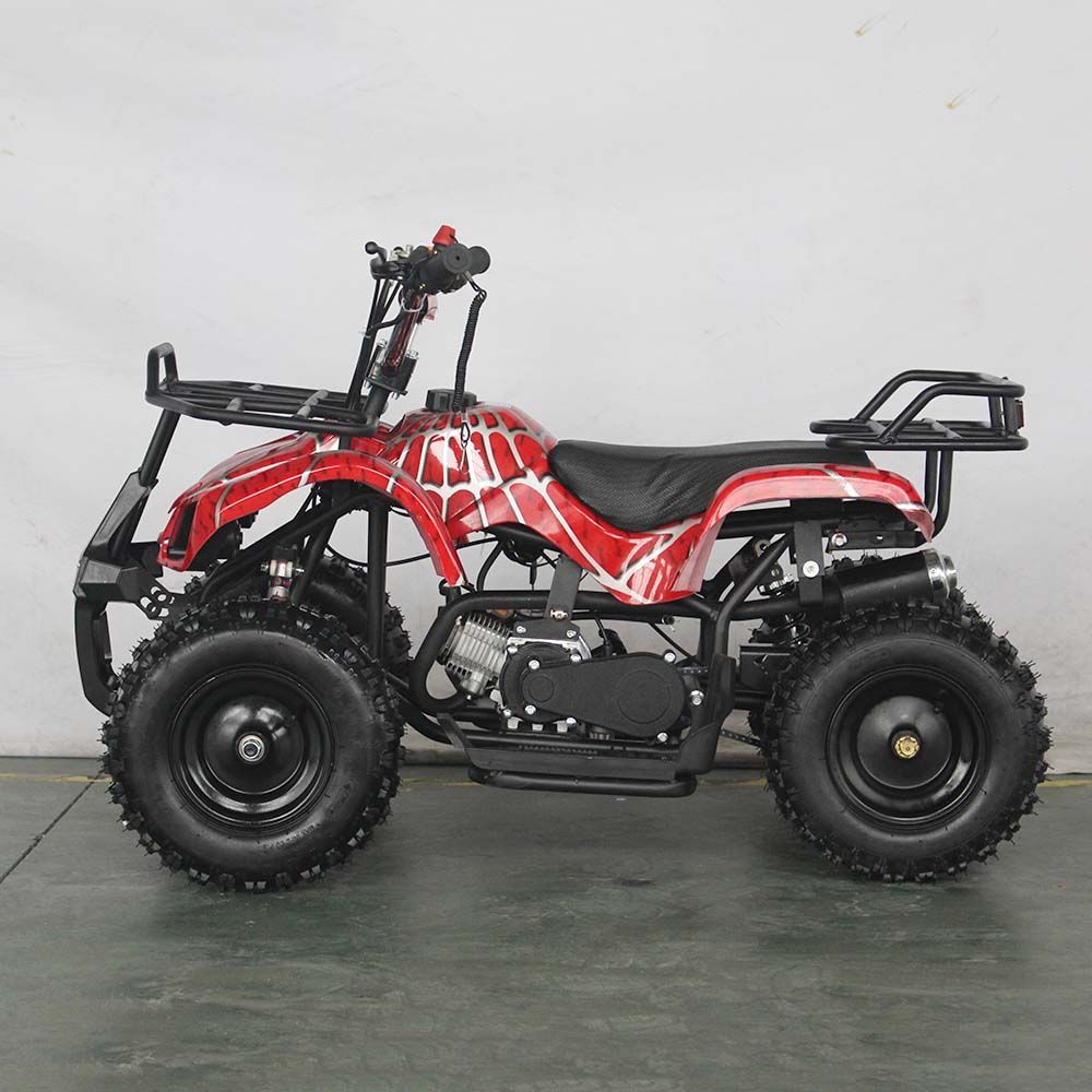 49CC Mini Kids Quad Bike ATV