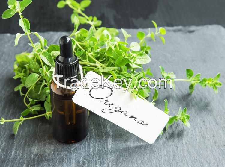 Oregano Essential Oil