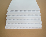 PP Corrugated Sheet / PP Corrugated Board