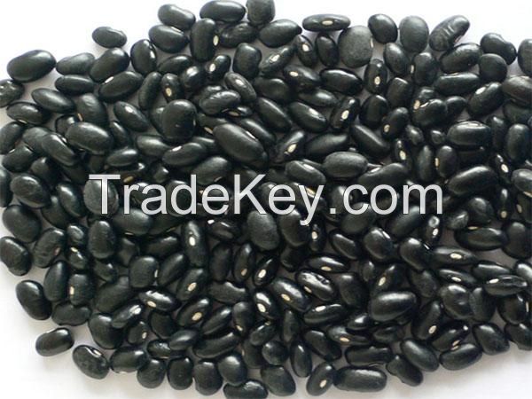 black kidney beans