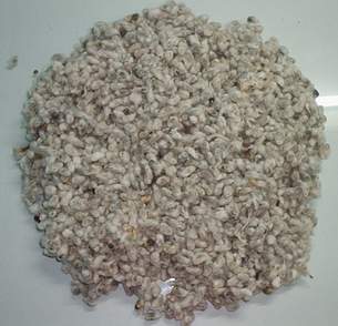 Best Cotton seeds cake