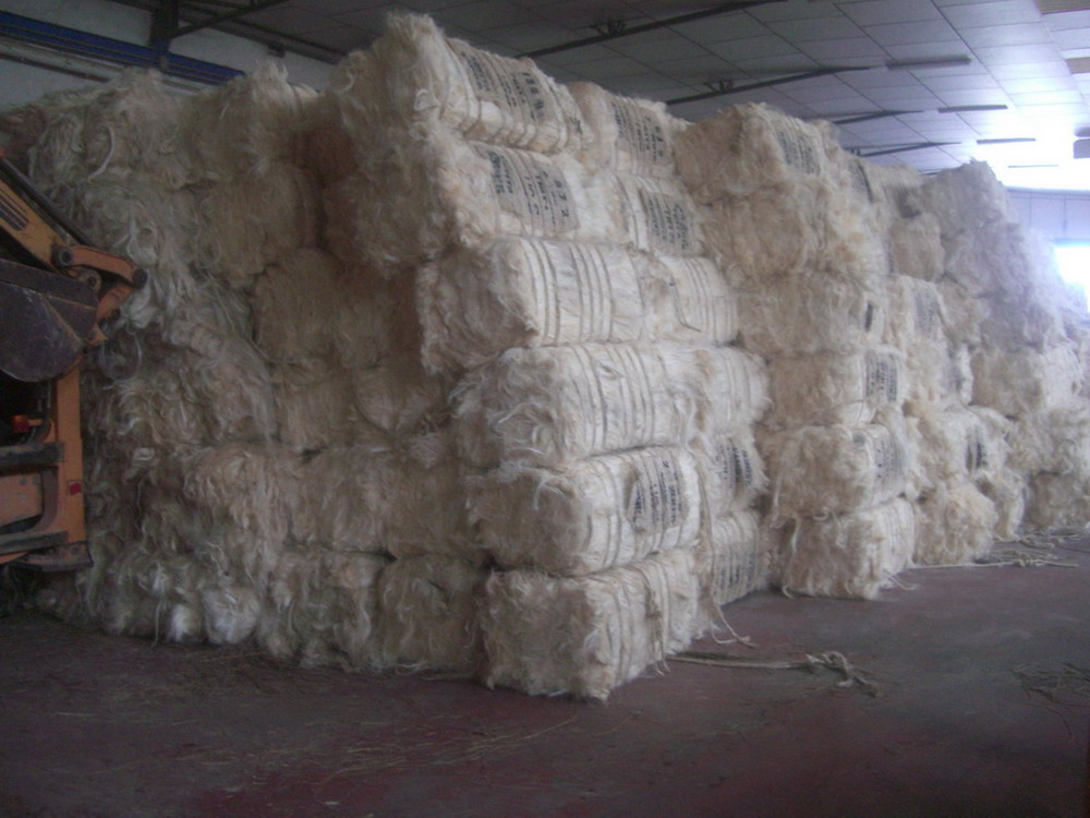 Quality SISAL FIBER BALED