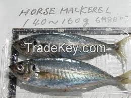 Best PINK SALMON FISH, SALMON FISH, FROZEN SALMON FISH PRODUCTS