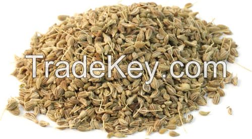 Quality Anise seed 