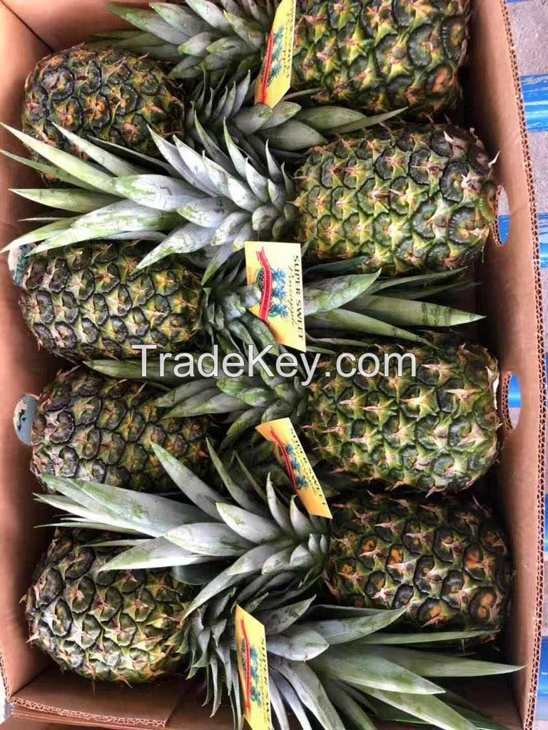 Fresh Golden &quot;MD2&quot; Pineapples