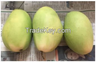 Fresh Philippine Carabao Mangoes