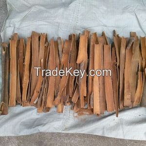 Vietnam cinnamon cassia