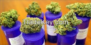 Where to Buy Medical Buds Online