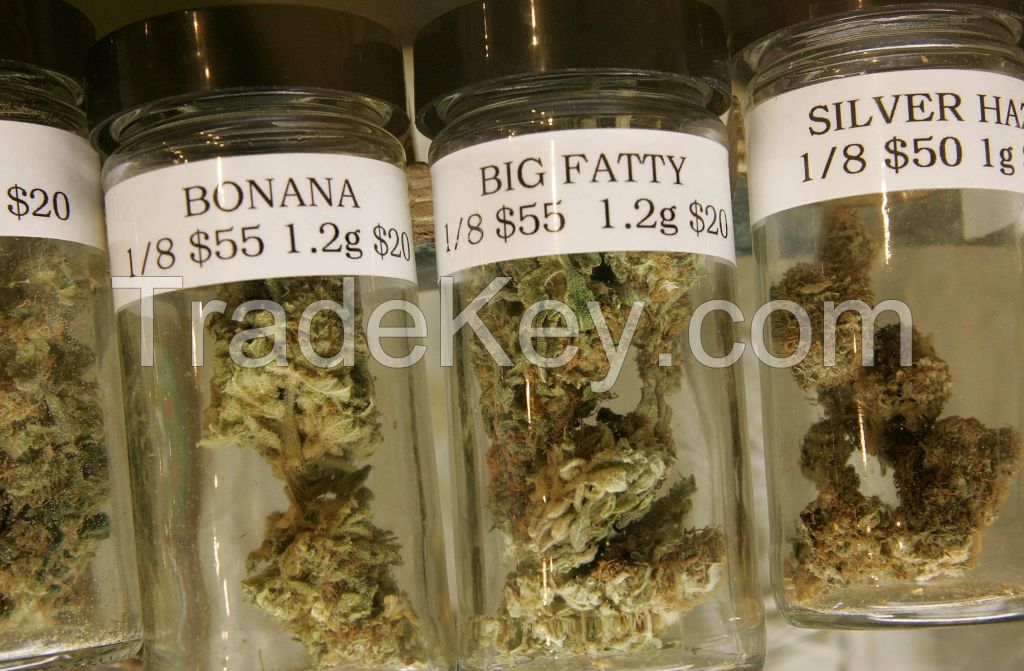 Where to Buy Medical Buds Online