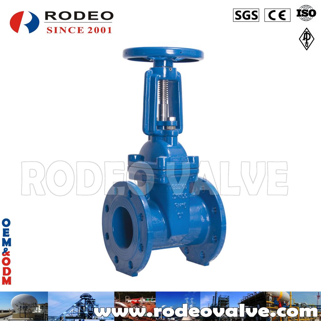 ANSI Cast Iron Flange Gate Valve