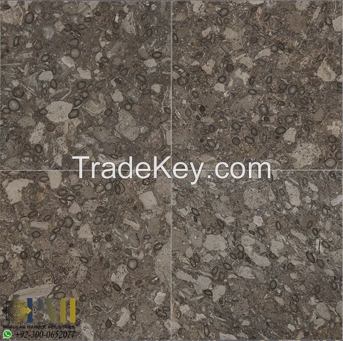 Fossil Gray marble for flooring tiles Oceanic gray tiles