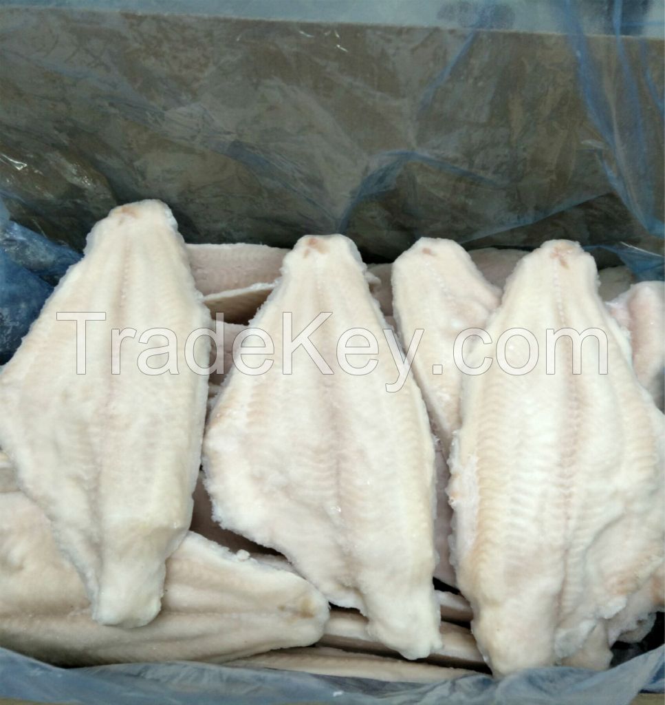 Frozen Channel Catfish Fillet