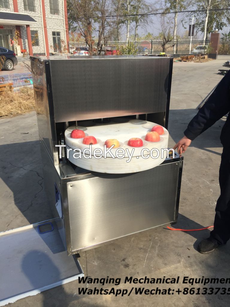 Hot sale apple pitting machine for factory use