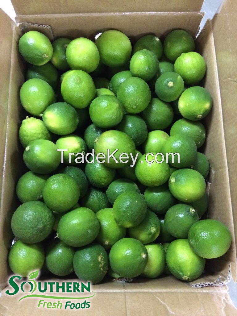 Seedless Lime Vietnam