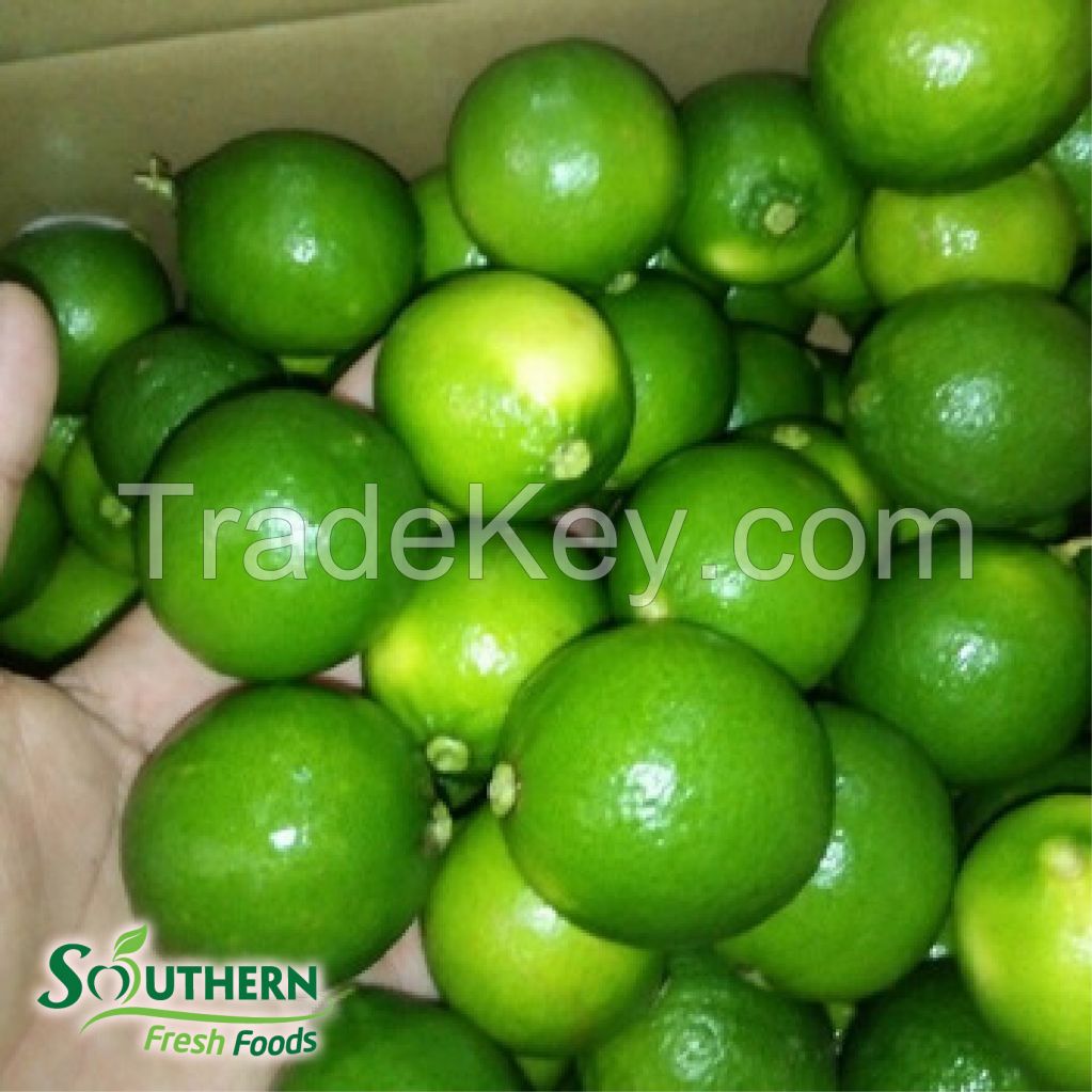 Fresh Seedless Lime