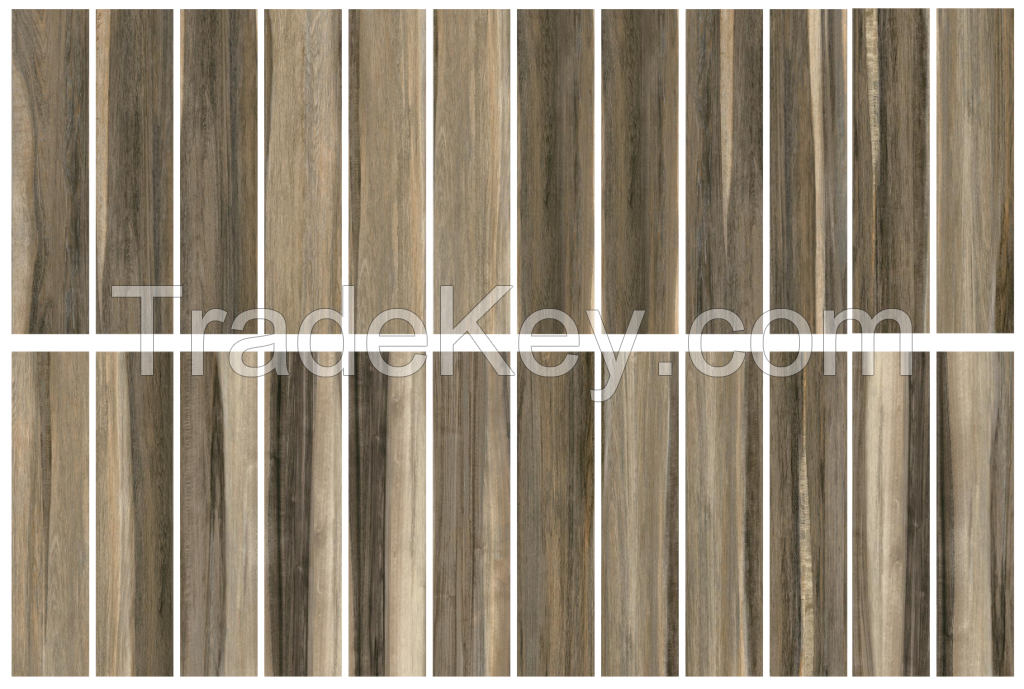 Porcelain tile - ACACIA - Glazed