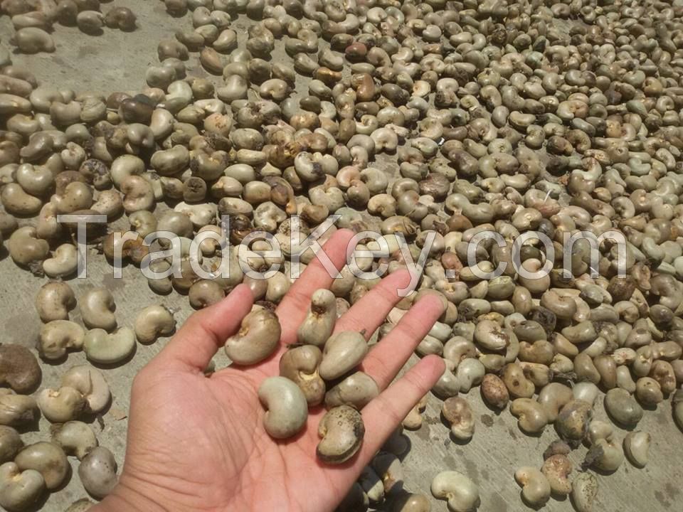 Raw and processed Cashew Nuts