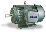 Three-phase Induction Motor (Y)