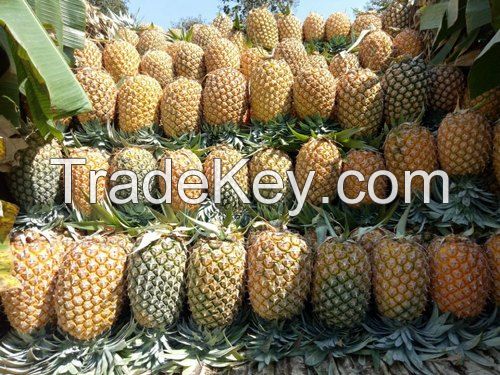 fresh pineapple