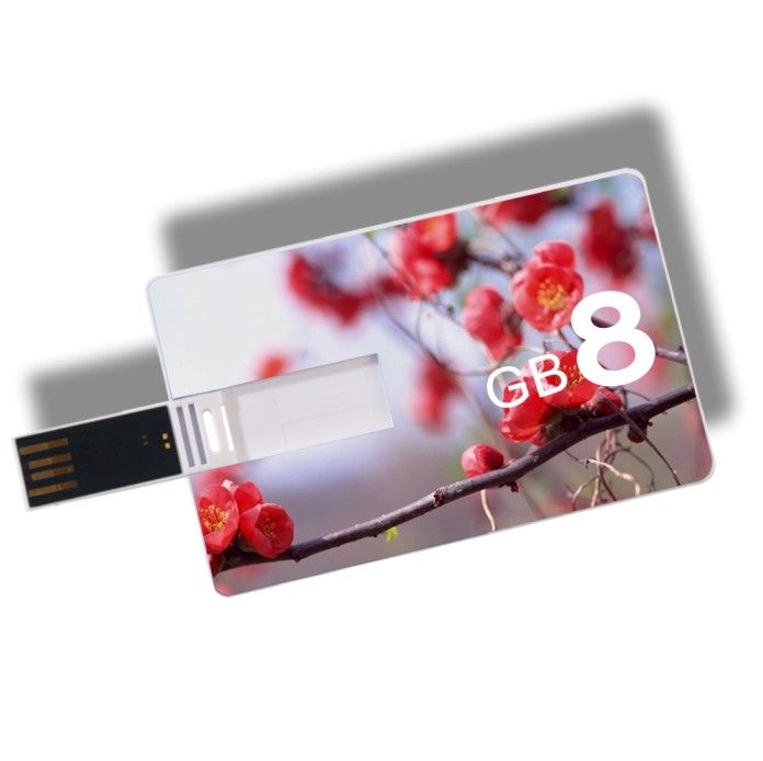 Credit card usb flash drive OEM customized logo printing