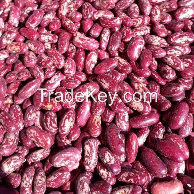 Kidney Beans